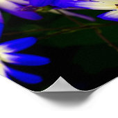 明るい青と白のデジタルの花 ポスター (角)