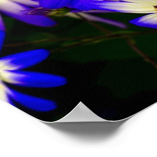 明るい青と白のデジタルの花 ポスター (角)