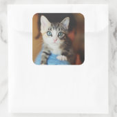 明るい青の目をした子猫 スクエアシール (バッグ)