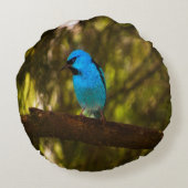 明るい青の鳥 ラウンドクッション (裏面)