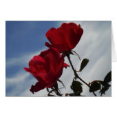 明るい青空に赤いバラ (正面横)