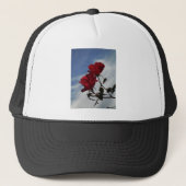 明るい青空に赤いバラ キャップ (正面)