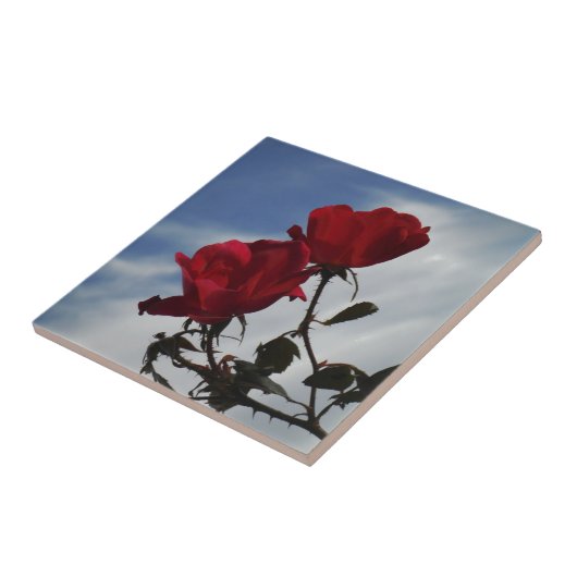 明るい青空に赤いバラ タイル (側面)