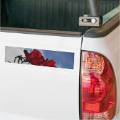 明るい青空に赤いバラ バンパーステッカー (トラック上)