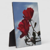 明るい青空に赤いバラ フォトプラーク (側面)
