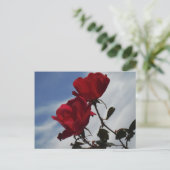 明るい青空に赤いバラ ポストカード (スタンド正面)