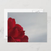 明るい青空に赤いバラ ポストカード (正面/裏面)