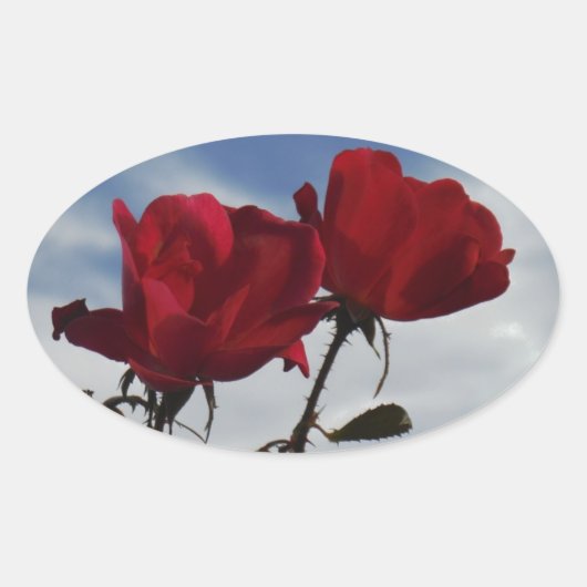 明るい青空に赤いバラ 楕円形シール (正面)