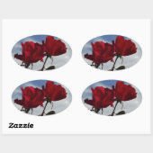 明るい青空に赤いバラ 楕円形シール (シート)