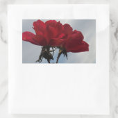 明るい青空に赤いバラ 長方形シール (バッグ)