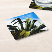 明るい青空を持つ緑のアロエ植物 スクエアペーパーコースター (アングル)