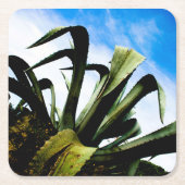 明るい青空を持つ緑のアロエ植物 スクエアペーパーコースター (正面)