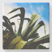 明るい青空を持つ緑のアロエ植物 ストーンコースター (正面)