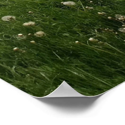 明るい面、暗い面、反対側 ポスター (角)