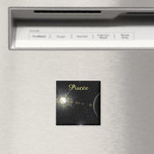 明るい魚座 マグネット (インサイチュ (食洗機))