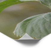 明るい黄色のひまわりクローズアップ写真CC0034 ポスター (角)