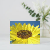 明るい黄色のひまわりポストカードブルースカイ ポストカード (スタンド正面)