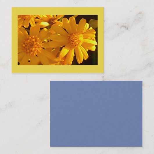 明るい黄色のひまわり開花 名刺 (正面/裏面)