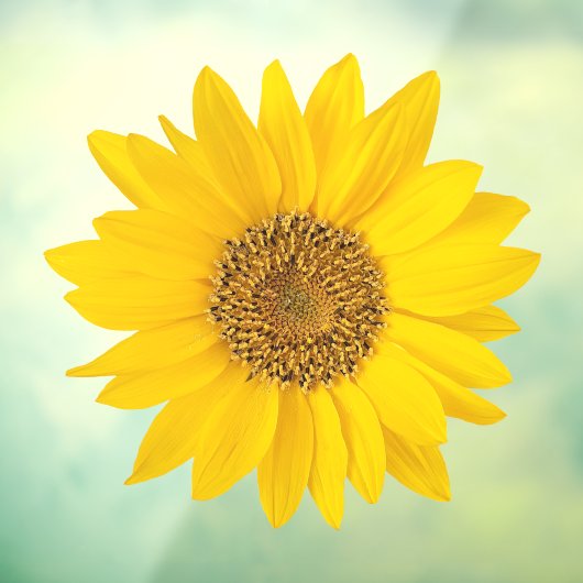 明るい黄色のひまわり ウィンドウサイン (シート3)