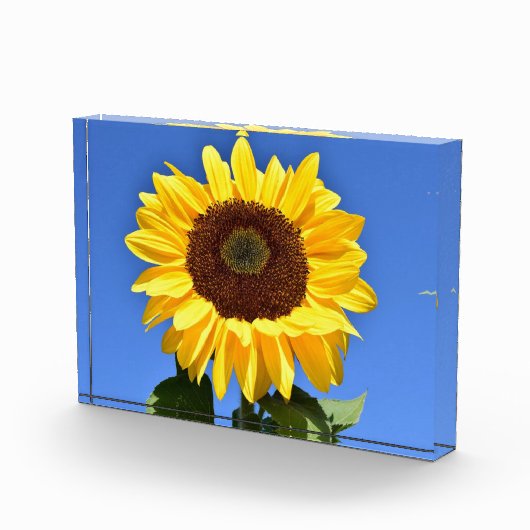 明るい黄色のひまわり フォトブロック (右)