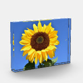 明るい黄色のひまわり フォトブロック (左)