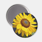 明るい黄色のひまわり マグネット (正面/裏面)