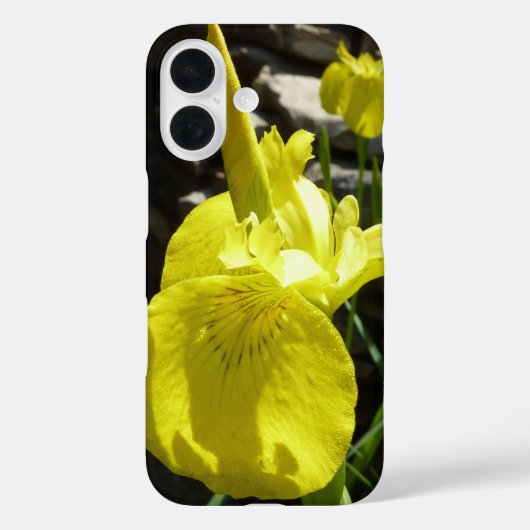 明るい黄色のアイリス 春の花 Case-Mate iPhoneケース (裏面)