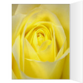 明るい黄色のバラが私の花嫁になる (内側(左))