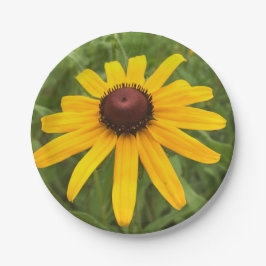 明るい黄色のラドベキア写真撮影ピクニック ペーパープレート