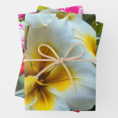 明るい黄色の中心を持つ白いユリ ラッピングペーパーシート (インサイチュ)