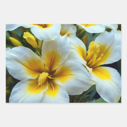 明るい黄色の中心を持つ白いユリ ラッピングペーパーシート (正面)