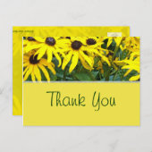明るい黄色の夏のデイジーの花感謝していあなた ポストカード (正面/裏面)