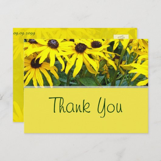 明るい黄色の夏のデイジーの花感謝していあなた ポストカード (正面/裏面)