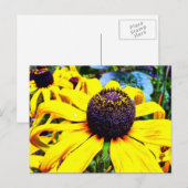 明るい黄色の花：フォンカル，ポルトガル ポストカード (正面/裏面)