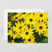 明るい黄色の花 ポストカード (正面/裏面)