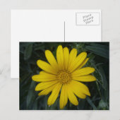 明るい黄色 ポストカード (正面/裏面)