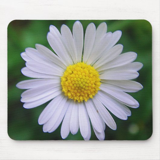 明るい黄色 – 白デイジー マウスパッド (正面)