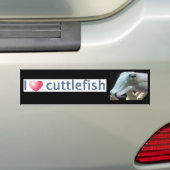 明るいCuttlefish バンパーステッカー (車上)