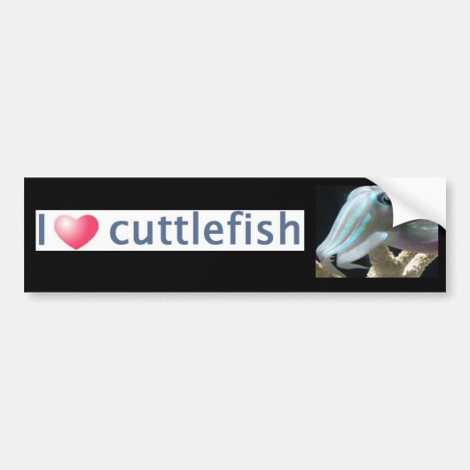 明るいCuttlefish バンパーステッカー (正面)