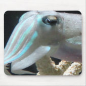 明るいCuttlefish マウスパッド (正面)