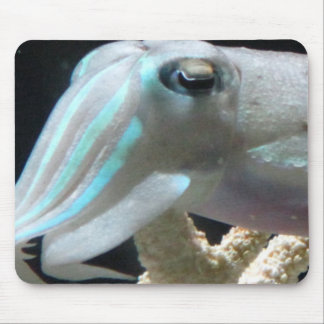 明るいCuttlefish マウスパッド
