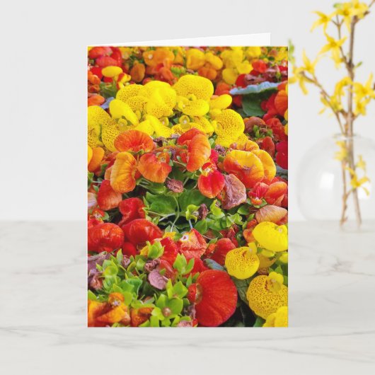 明るいslipperwortの花園 カード (黄色い花)