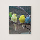 明るくカラフルなインコBudgiesは鳥をオウム返しします ジグソーパズル (縦)