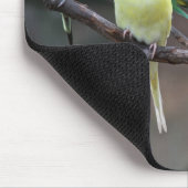 明るくカラフルなインコBudgiesは鳥をオウム返しします マウスパッド (コーナー)