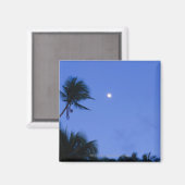 明るく照らされた月、ヤシの木のシルエット マグネット (正面/裏面)