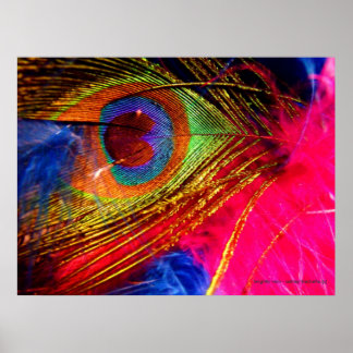 明るく虚栄心がある ポスター