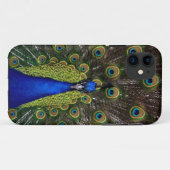 明るく豪奢な孔雀の写真の鳥の自然のプリント Case-Mate iPhoneケース (裏面(横))