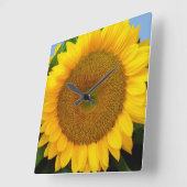 明るく青いヒマワリ スクエア壁時計 (傾斜)