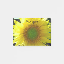 明るく黄色いヒマワリ