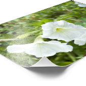 明るさの純度 フォトプリント            (角)